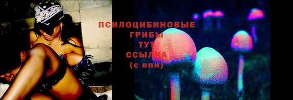 молекула духа Армянск