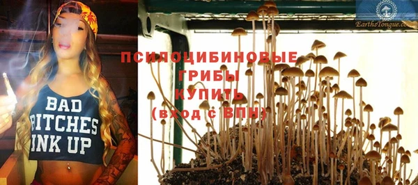 молекула духа Армянск