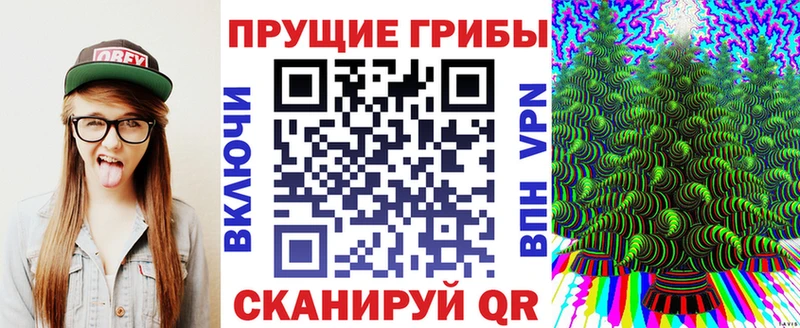 Псилоцибиновые грибы Cubensis Фрязино